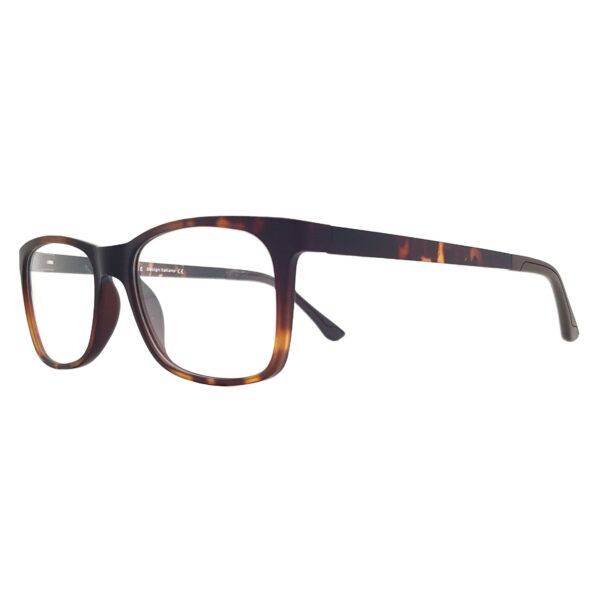 GSU11415 C.2 53MM TORTIE - Imagen 2